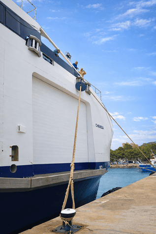 Protezione professionale contro ratti - Navi e SuperYacht