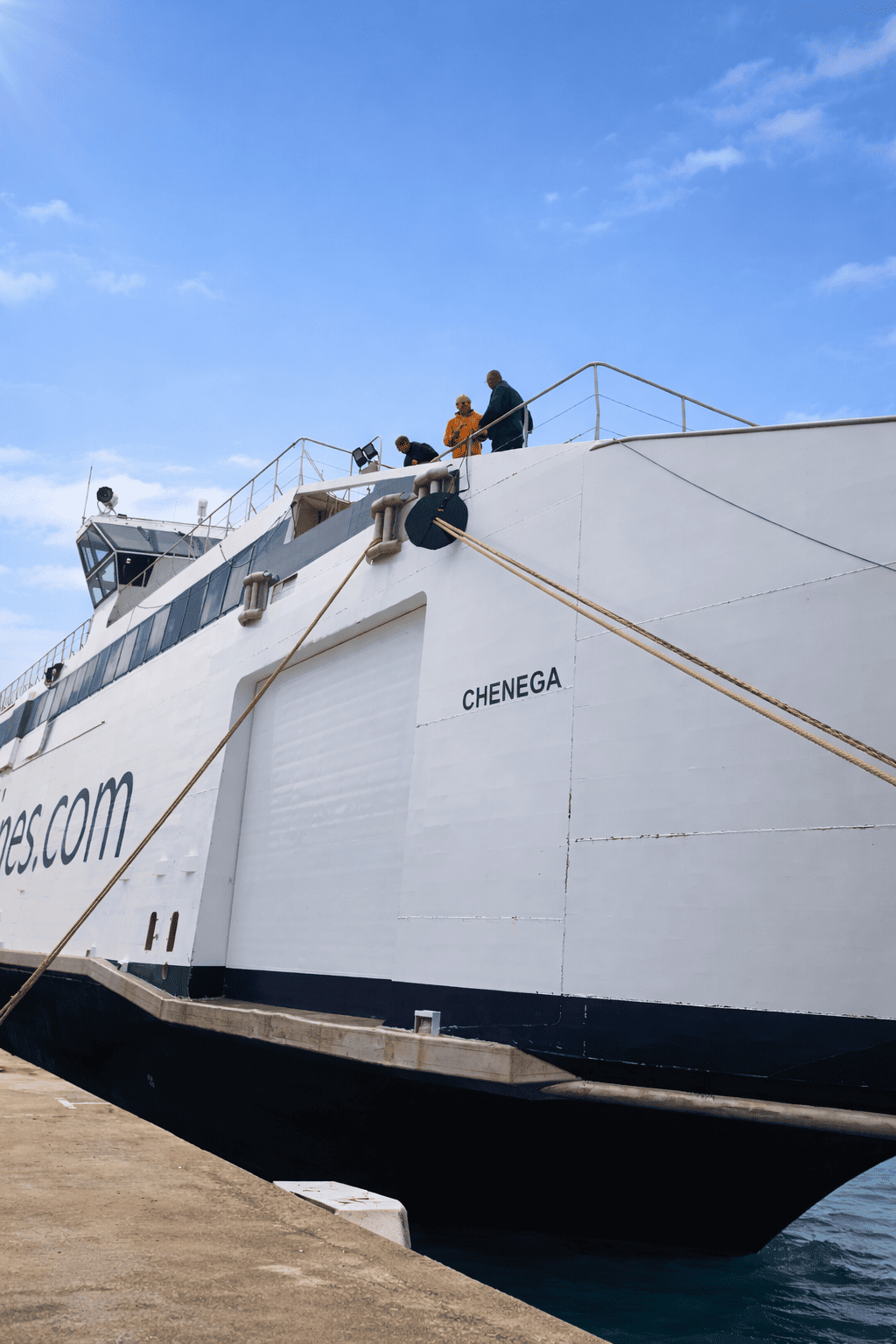 Protezione professionale contro ratti - Navi e SuperYacht